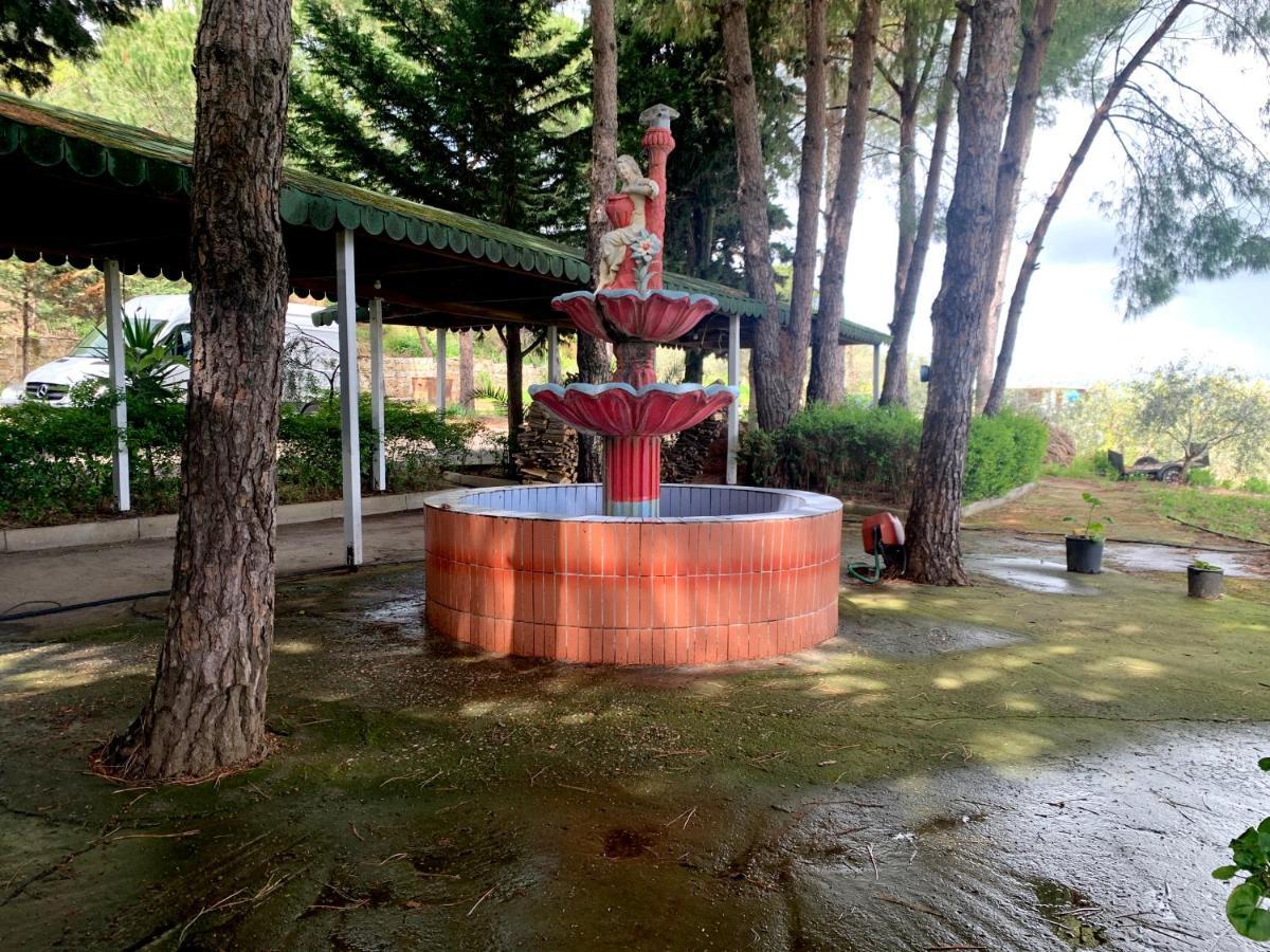 Hotel Nature Kolonje Exterior photo